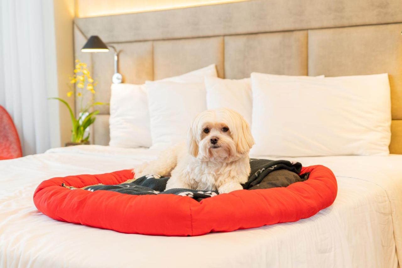 Mercure Sao Paulo Jardins Екстериор снимка